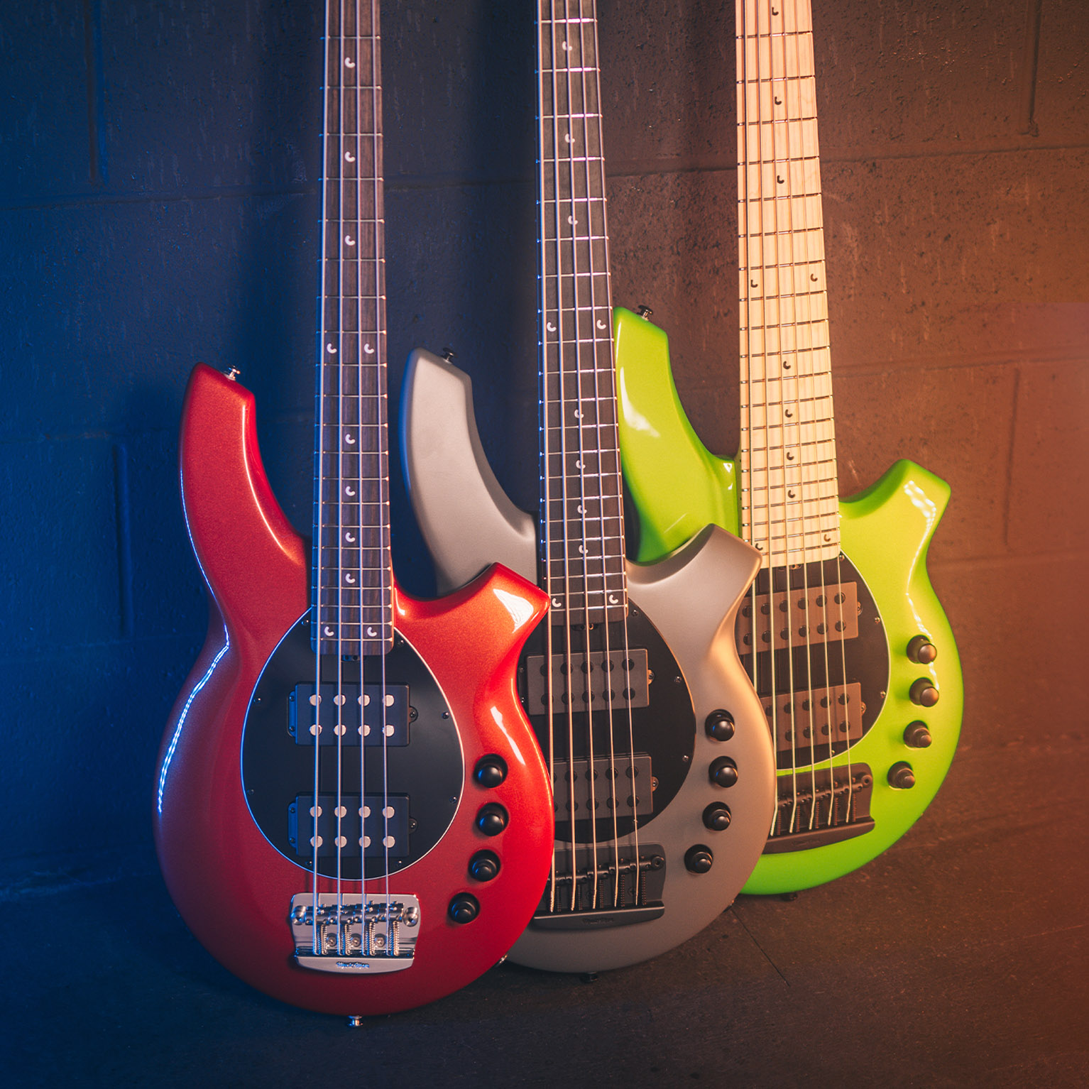 Bongo 4 Basses Ernie Ball Music Man